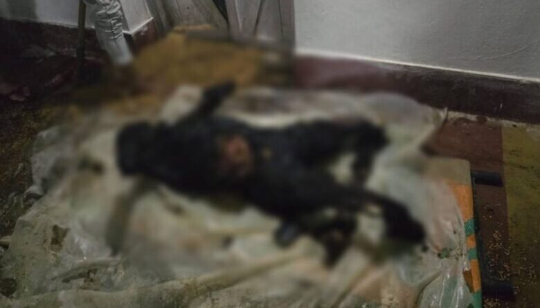 जमीन विवाद में छोटे भाई ने बड़े भाई को जलाकर मार डाला, आरोपी गिरफ्तार