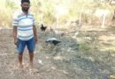 पशुपालन विभाग की ऋण योजना से बदली किसान की किस्मत, मुर्गी पालन से हुआ आर्थिक बदलाव