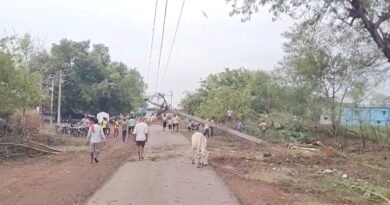 आंधी से  मोबाइल टावर और पेड़ गिरने से कई  गांव अँधेरे में डूबे