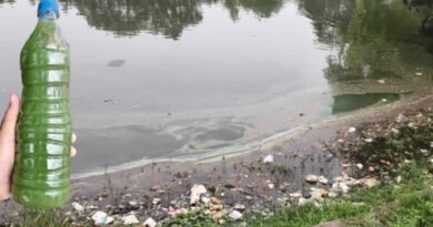 आरंग के दमऊवा तालाब में संदिग्ध सामग्री,  जांच के लिए भेजे गए पानी के सैंपल
