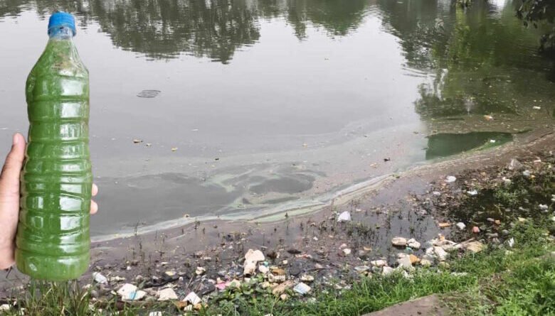 आरंग के दमऊवा तालाब में संदिग्ध सामग्री,  जांच के लिए भेजे गए पानी के सैंपल