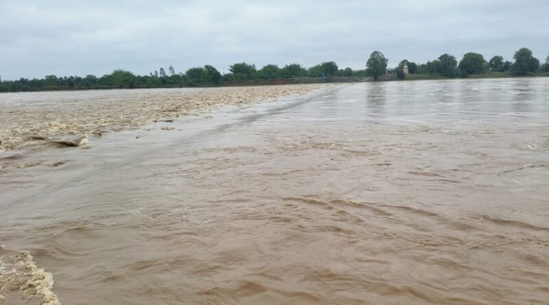 पहली बारिश में रोहांसी एनीकट डूबा